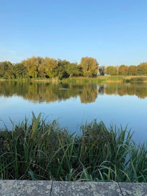 Studio Proche Disneyland Paris Magny-le-Hongre Bagian luar foto